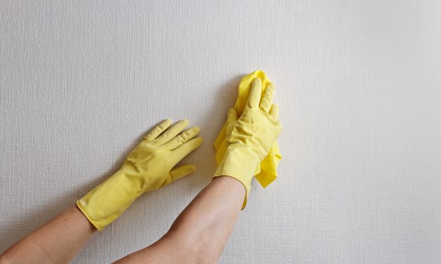 5 dicas para manutenção de paredes que você precisa conhecer